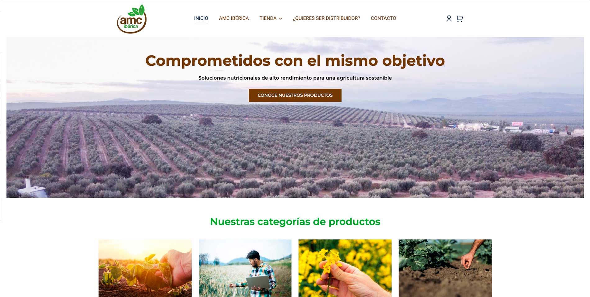 www.amciberica.com